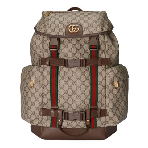 Gucci skateboard bag